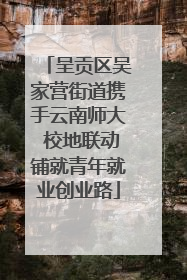 呈贡区吴家营街道携手云南师大 校地联动铺就青年就业创业路