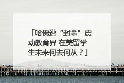 哈佛遭“封杀”震动教育界 在美留学生未来何去何从？