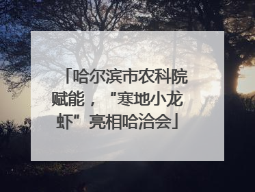 哈尔滨市农科院赋能，“寒地小龙虾”亮相哈洽会