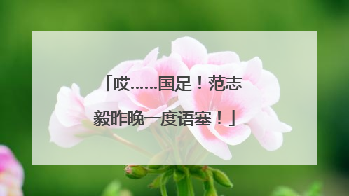 哎……国足！范志毅昨晚一度语塞！