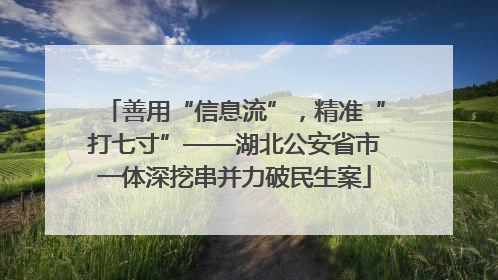 善用“信息流”，精准“打七寸”——湖北公安省市一体深挖串并力破民生案