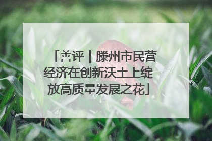 善评｜滕州市民营经济在创新沃土上绽放高质量发展之花