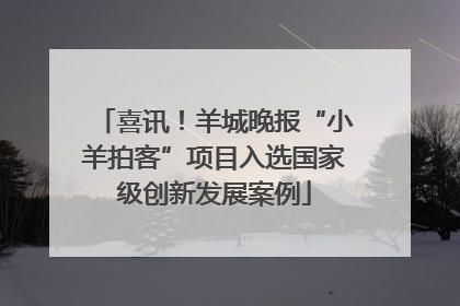 喜讯！羊城晚报“小羊拍客”项目入选国家级创新发展案例