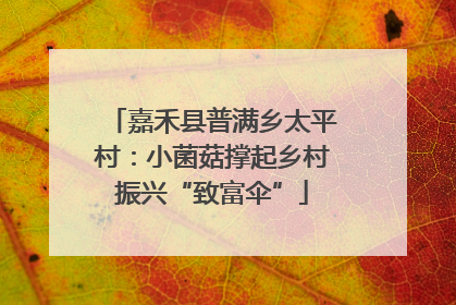 嘉禾县普满乡太平村：小菌菇撑起乡村振兴“致富伞”