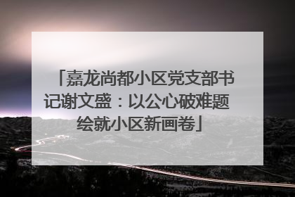 嘉龙尚都小区党支部书记谢文盛：以公心破难题 绘就小区新画卷