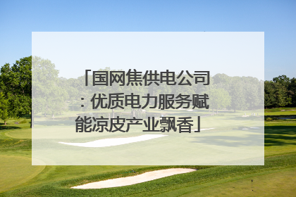 国网焦供电公司：优质电力服务赋能凉皮产业飘香