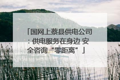 国网上蔡县供电公司：供电服务在身边 安全咨询“零距离”