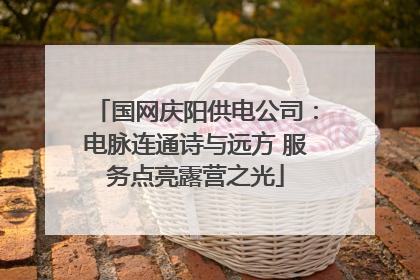 国网庆阳供电公司：电脉连通诗与远方 服务点亮露营之光