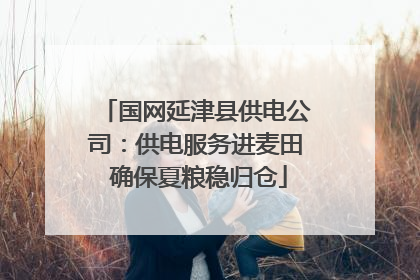 国网延津县供电公司：供电服务进麦田 确保夏粮稳归仓