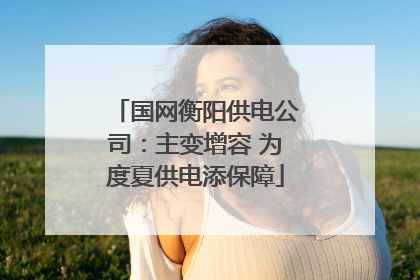 国网衡阳供电公司：主变增容 为度夏供电添保障