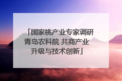 国家桃产业专家调研青岛农科院 共商产业升级与技术创新