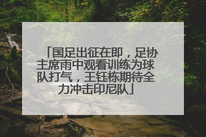 国足出征在即，足协主席雨中观看训练为球队打气，王钰栋期待全力冲击印尼队