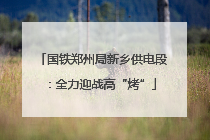 国铁郑州局新乡供电段：全力迎战高“烤”