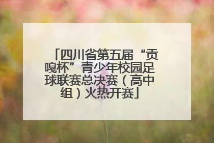 四川省第五届“贡嘎杯”青少年校园足球联赛总决赛（高中组）火热开赛