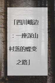 四川峨边：一座深山村落的蝶变之路