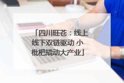 四川旺苍：线上线下双链驱动 小枇杷撬动大产业