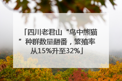 四川老君山“鸟中熊猫”种群数量翻番，繁殖率从15%升至32%
