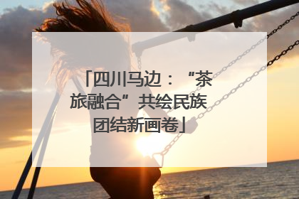 四川马边：“茶旅融合”共绘民族团结新画卷
