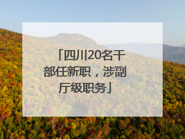 四川20名干部任新职，涉副厅级职务
