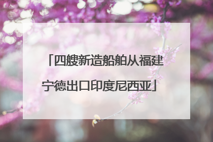 四艘新造船舶从福建宁德出口印度尼西亚