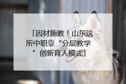 因材施教！山东这所中职靠“分层教学”创新育人模式