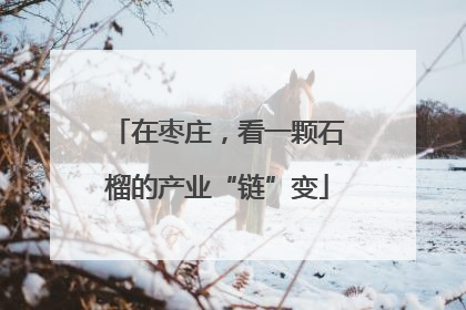 在枣庄，看一颗石榴的产业“链”变