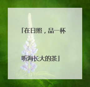 在日照，品一杯听海长大的茶