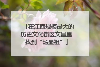 在江西规模最大的历史文化街区文昌里找到“汤显祖”