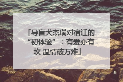 导盲犬杰瑞对宿迁的“初体验”：有爱亦有坎 温情破万难