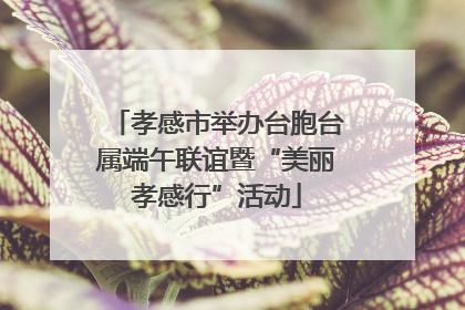 孝感市举办台胞台属端午联谊暨“美丽孝感行”活动