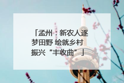 孟州：新农人逐梦田野 绘就乡村振兴“丰收曲”