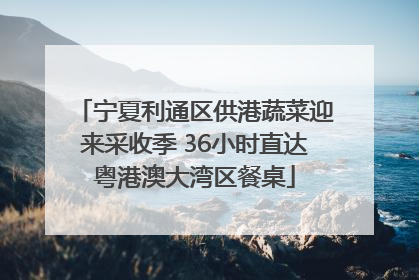宁夏利通区供港蔬菜迎来采收季 36小时直达粤港澳大湾区餐桌