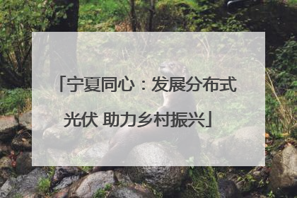 宁夏同心：发展分布式光伏 助力乡村振兴