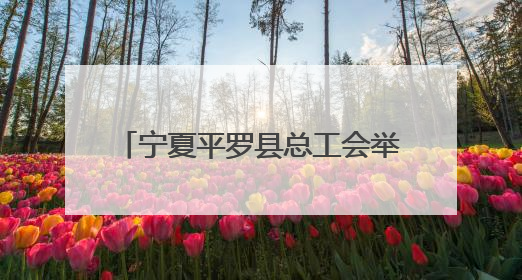 宁夏平罗县总工会举办插秧“大比武”