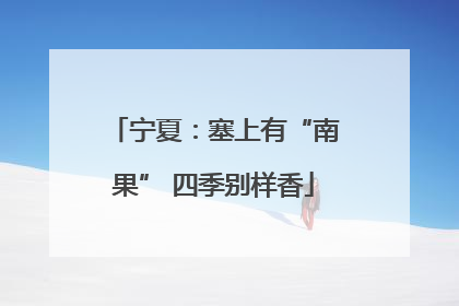 宁夏：塞上有“南果” 四季别样香