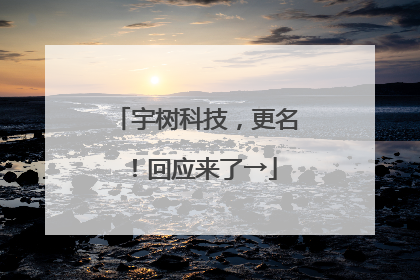 宇树科技，更名！回应来了→