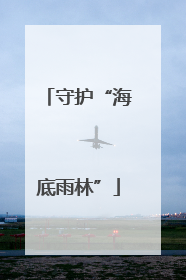 守护“海底雨林”