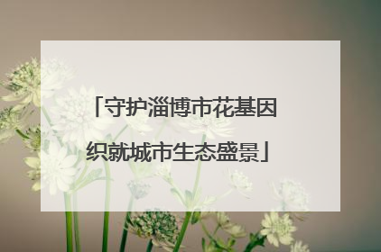守护淄博市花基因 织就城市生态盛景