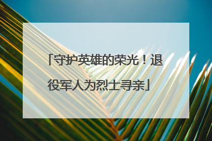 守护英雄的荣光！退役军人为烈士寻亲