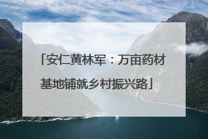 安仁黄林军：万亩药材基地铺就乡村振兴路