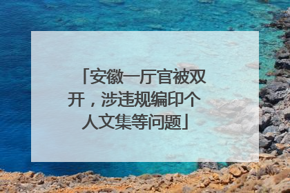 安徽一厅官被双开，涉违规编印个人文集等问题