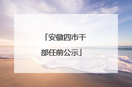 安徽四市干部任前公示