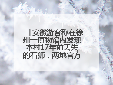 安徽游客称在徐州一博物馆内发现本村17年前丢失的石狮，两地官方最新回应