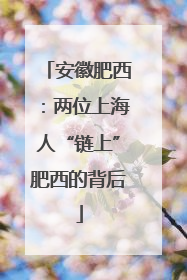 安徽肥西：两位上海人“链上”肥西的背后