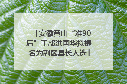 安徽黄山“准90后”干部洪国华拟提名为副区县长人选
