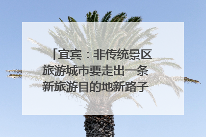 宜宾：非传统景区旅游城市要走出一条新旅游目的地新路子｜话锦绣·说安逸