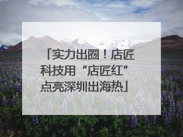 实力出圈！店匠科技用“店匠红”点亮深圳出海热