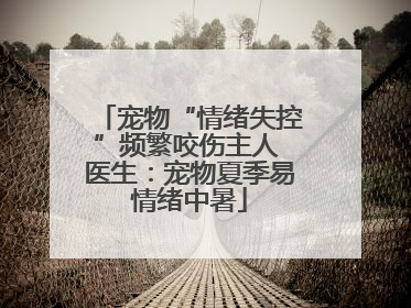 宠物“情绪失控”频繁咬伤主人 医生：宠物夏季易情绪中暑