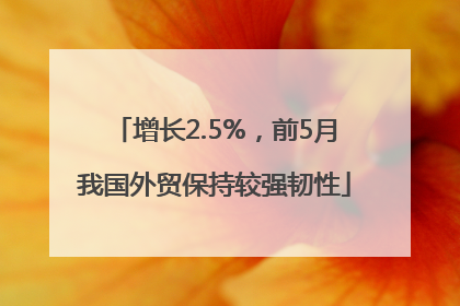 增长2.5%，前5月我国外贸保持较强韧性