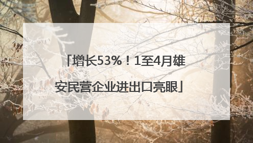 增长53%！1至4月雄安民营企业进出口亮眼